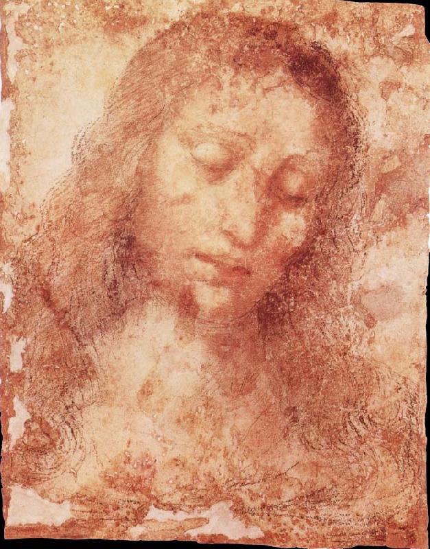 LEONARDO da Vinci Portrait oil painting image